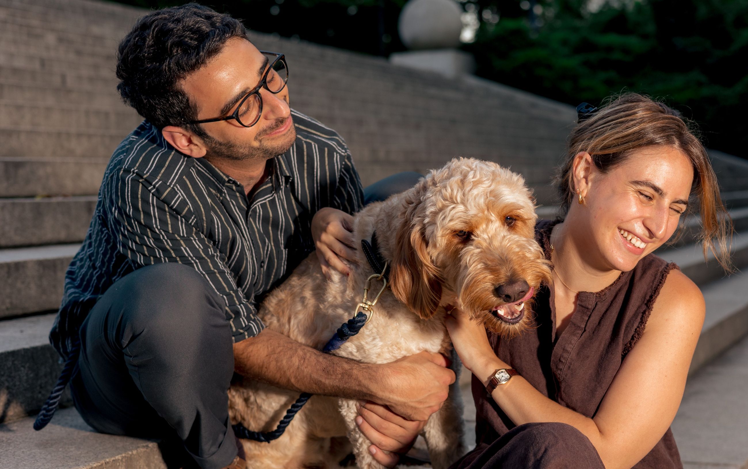 Goldendoodle Preventative Care Everything You Need To Know!